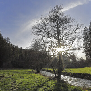 Ulfenbachtal_20241208_0001_B_HDR-soft_Web