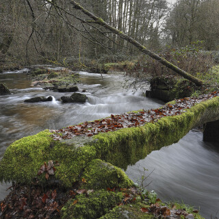 Ulfenbachtal_20241208_0005_B_HDR-ausgew_Web