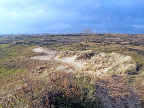 6-dunen-bei-zandvoort.jpeg