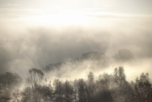 Guettersbach_20241029_0006_B_HDR-gleich_Web.jpeg