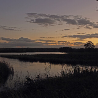 NG-Ilkerbruch_20131029_0001_Web