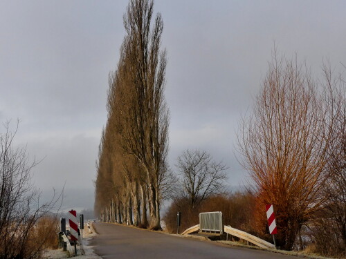 2025-01-22-Trommetsheim-Pappelallee-3.jpeg