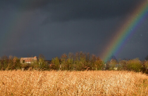 2025-01-29-Regenbogen-bei-Sommersdorf-3.jpeg