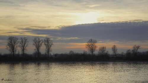 Am-Rhein_20250221_0001_B_HDR-gleich_16-9_Web.jpeg