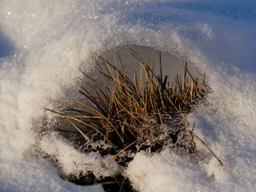 2025-02-17-Hesselberg-Grasgrotte-im-Schnee-1.jpeg