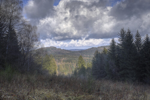 Odenwald_20250228_0002-BR1-2-3_B_HDR-akzent_Web.jpeg