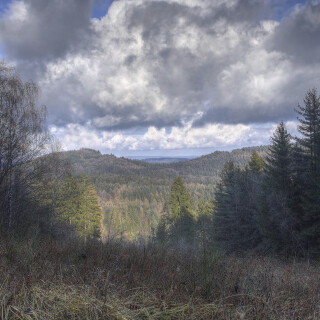 Odenwald_20250228_0002-BR1-2-3_B_HDR-akzent_Web