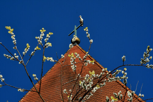 2025 03 08 Frühling überall 1