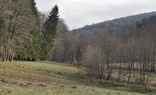 Duerr-Ellenbach-Tal_20250311_0005_B_HDR3_Natausgew_Tag_nat_Web.jpeg