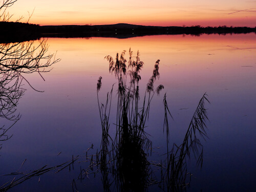 2025-03-06-Blaue-Stunde-am-Altmuhlsee-11.jpeg