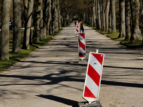 2025-03-16-Ansbach-Hofgarten-Licht-und-Schattenallee-1.jpeg