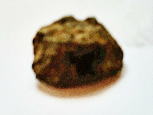 K800_Rest-eines-SiegelbaumesSigillaria-mammiliaris-3_upscayl_1x_ultrasharp.jpeg