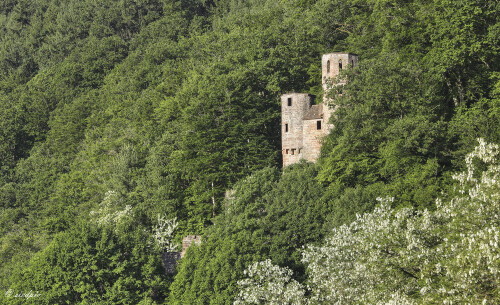 Burg-Schwalbennest_2025-05-0002_B1_HDR_Web.jpeg