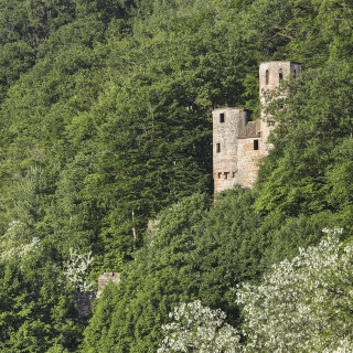 Burg-Schwalbennest_2025-05-0002_B1_HDR_Web