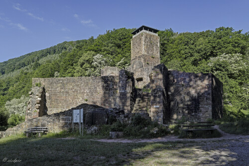 Burgruine-Hinterburg_20250516_0001-BR1-2-3_HDR_B_Web.jpeg