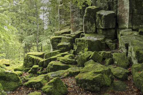 Steinwand_20240522_0005_B_HDR-ausgewog_B.jpeg