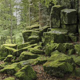 Steinwand_20240522_0005_B_HDR-ausgewog_B
