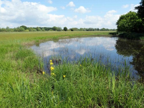 1.1-weiher-wulfesknapp.jpeg