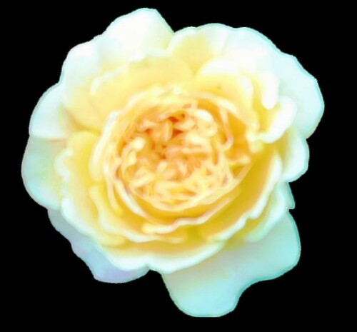 K800_Unbenannt-Photoroom_upscayl_1x_ultrasharp.jpeg