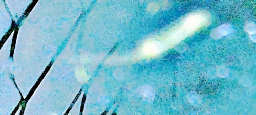 K800_Rattenschwanzlarve_upscayl_1x_ultrasharp.jpeg