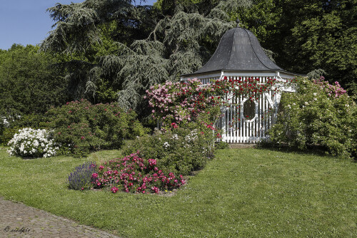 Rosengarten_Zweibrucken_20250617_0002_B_Web.jpeg