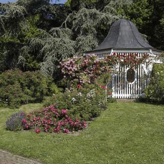Rosengarten_Zweibrucken_20250617_0002_B_Web
