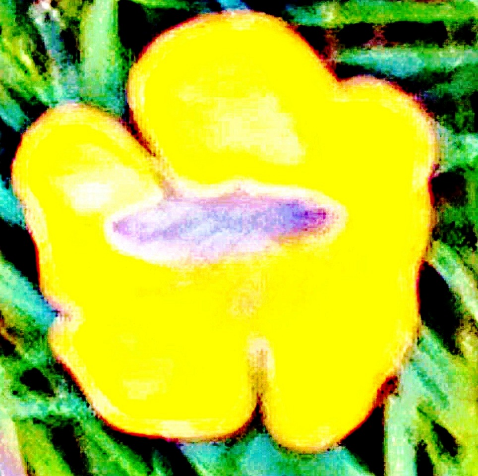 Eine Gemeine Waldschabe(Ectobius lapponicus(L. 1758))  in einer Blüte eines Scharfen Hahnenfußes(Ranunculus acris(L.))
https://de.wikipedia.org/wiki/Gemeine_Waldschabe
https://de.wikipedia.org/wiki/Scharfer_Hahnenfu%C3%9F
