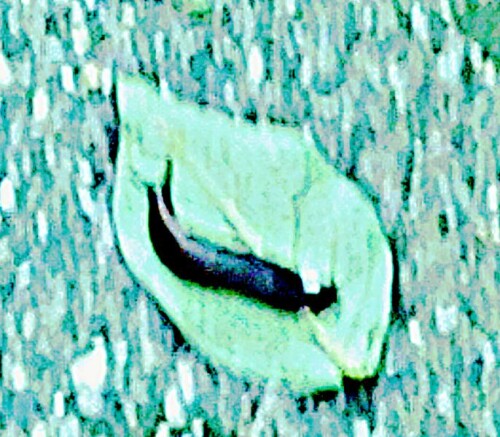 K800_Unbenannt_upscayl_1x_ultrasharp.jpeg