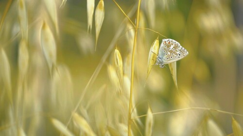 _DSC7019.jpeg