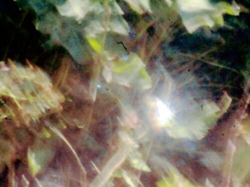 K800_Funkelnder-Regentropfen-im-Sonnenstrahl-4_upscayl_1x_upscayl-standard-4x.jpeg