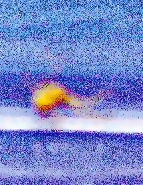K800_Veranderliche_Krabbenspinne_Misumena_vatiy_Clerck_1757_1_upscayl_1x_upscayl_standard_4x_denoise.jpeg