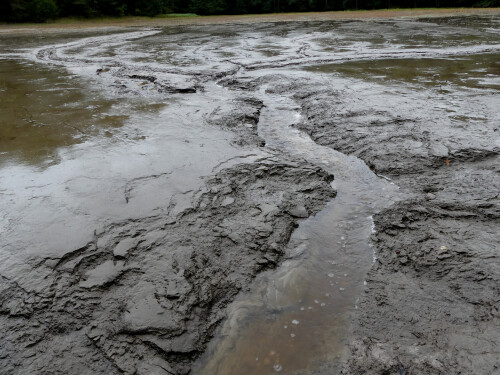 2025-09-26-abgelassener-Weiher-3.jpeg