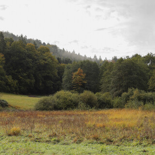 Panorama_20251008_0001-P1-2-3-4-5-6-7_B_HDR_Web
