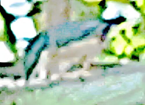 K800_Mitteleuropaischer-KleiberSitta-europaea-f.-caesia_upscayl_1x_upscayl-standard-4x.jpeg