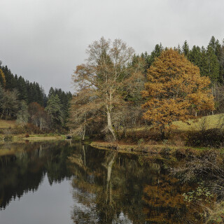 Eutersee_20251118_0008_B_HDR_Web