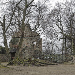 Klosterruine-Heiligenberg_20251128_0009_B2_HDR_Web