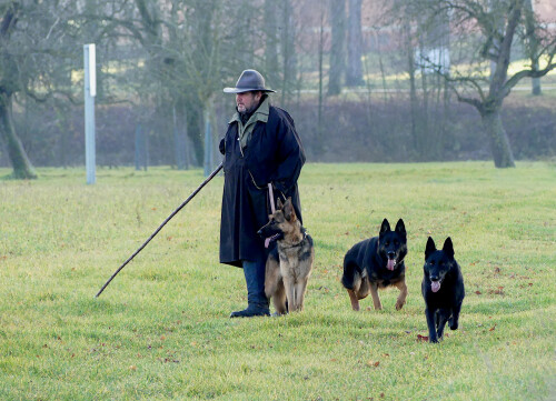 2025-12-11-Triesdorf-Schafer-und-Schaferhunde-12.jpeg
