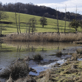 Erlauer-Teich_20260116_0002_B_Web