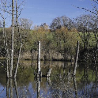 Erlauer-Teich_20260116_0006_B_Web