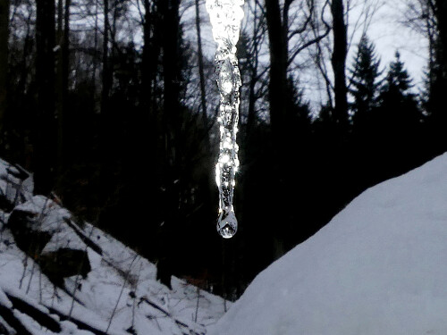 2026-01-28-Eiszapfen-11.jpeg