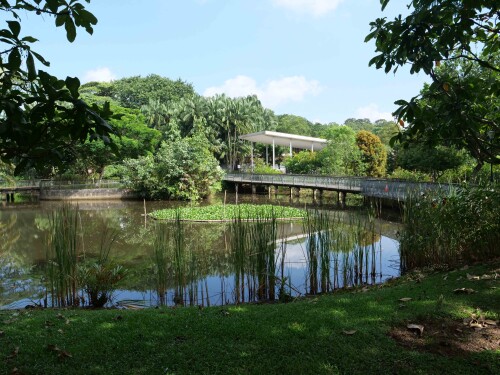 3.9-singapur-sungei-buloh-1.jpeg