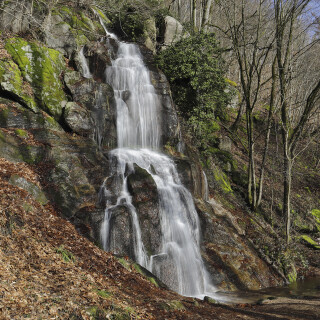 Fallender-Bach_20260225_0002_B_Web