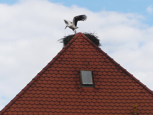 2026-03-01-ich-bin-dann-mal-weg.jpeg