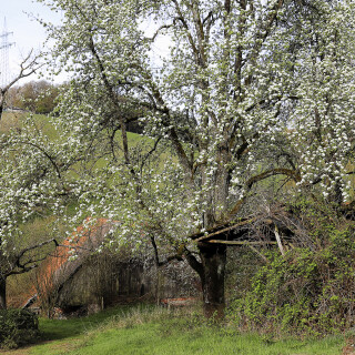 Mengelbach_20260409_0002_B_HDR1_Web