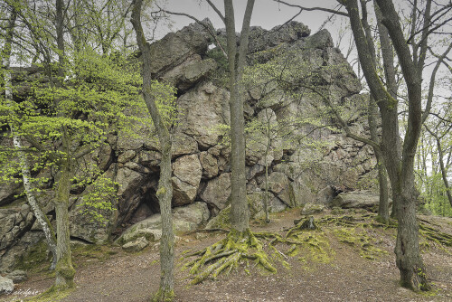 ND-Hohenstein_20260414_0008_B_HDR1_Web.jpeg
